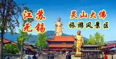 www.夜夜肏江苏无锡灵山大佛旅游风景区